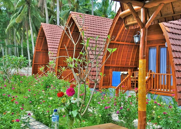 The Peace Arta 3*